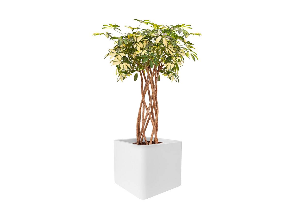 Pot de fleurs Pure Soft Brick 50 x H.50 cm - Blanc - Image 3