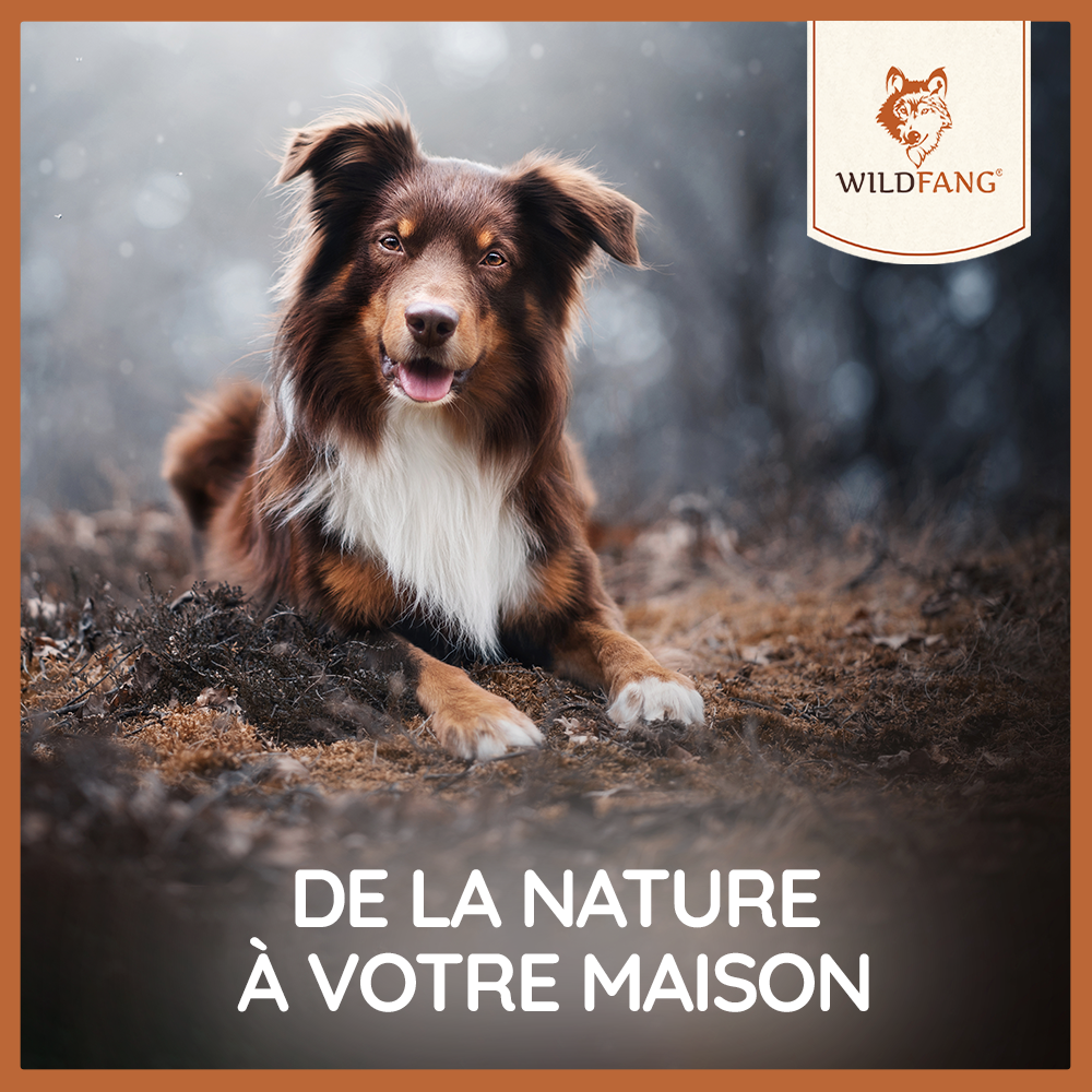 Wildfang - Wildfang - Cerf élaphe mâchant des bois à l'huile de saumon - 3 pieces - M - pour les chiens pesant entre 10 et 25 kg - Image 6