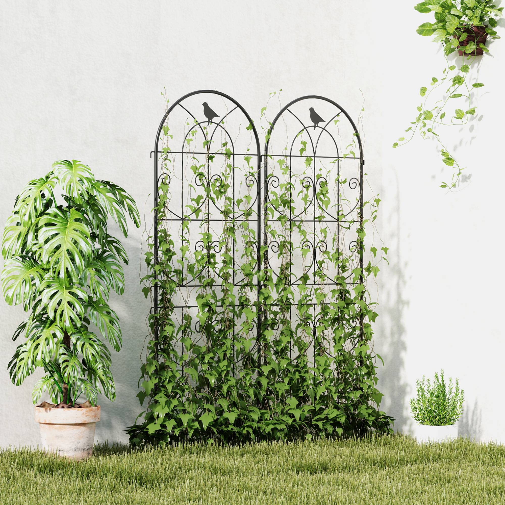 Lot 2 Treillis Jardin Métal Oiseaux Plantes Grimpantes Aménagement Terrasse 50x150cm Noir - ComfortXL Outdoor Living - Image 4