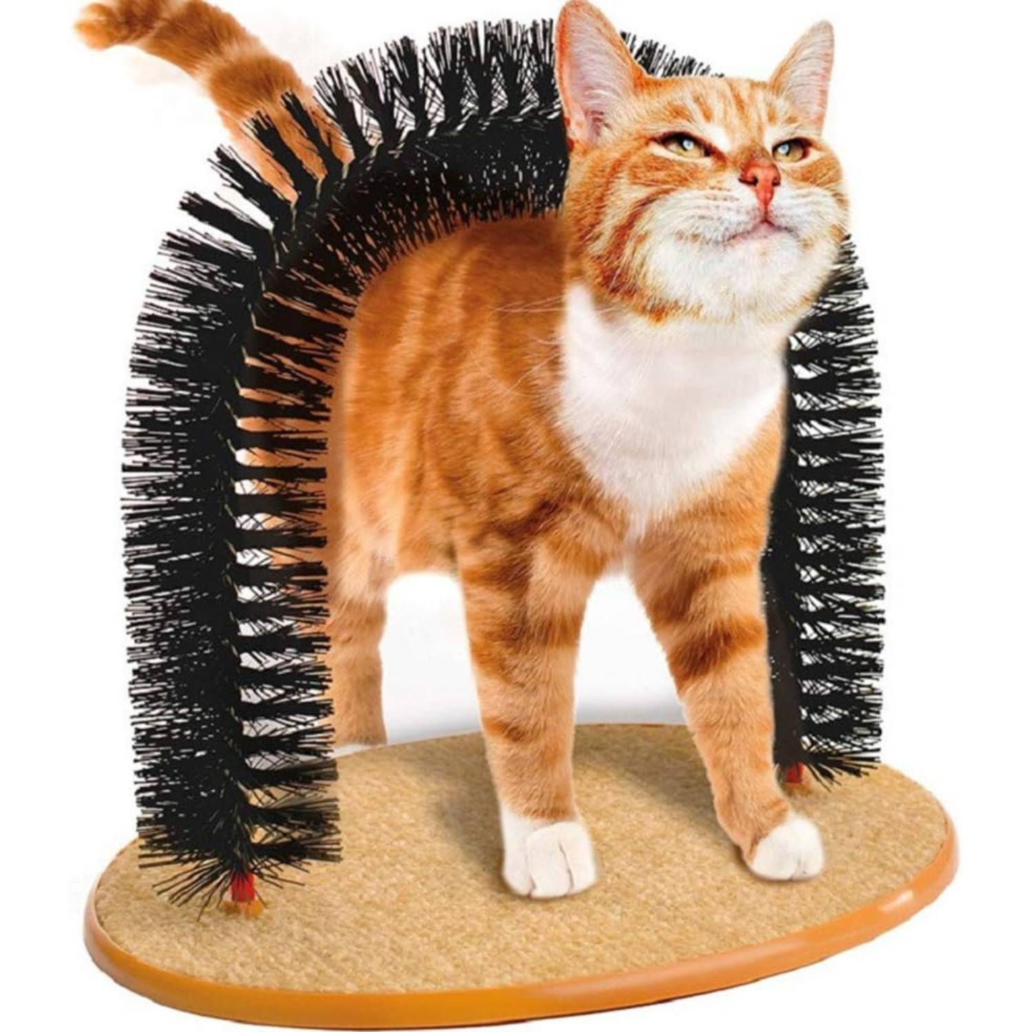DtopbuyAge - Arche de toilettage pour chat - Massage et griffoir intégrés DtopbuyAge - Image 1