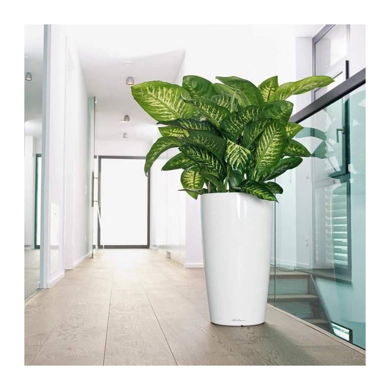 Lechuza - Pot De Fleur - Lec - Rondo Premium 40 - Noir Brillant - Avec Réserve D'eau - Diametre 40 Cm - Image 3