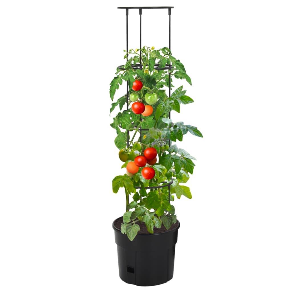 ComfortXL - Pot de Culture pour Tomates avec Tuteur Intégré 115 cm en Polypropylène – ComfortXL Outdoor Living - Image 2