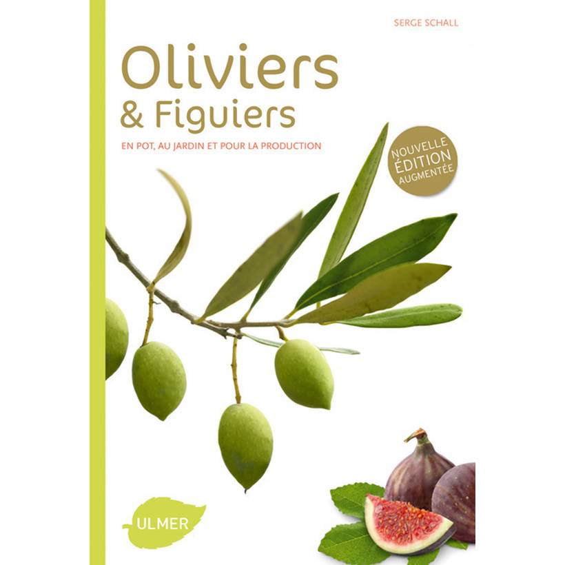 Promesse de Fleurs - Oliviers et figuiers (NE). En pot, en jardin et pour la production