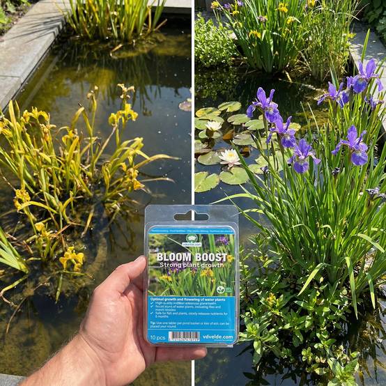 0 - Bloom Boost Tablettes Engrais 10 pièces - Plantes Bassin - 6 Mois - Image 2