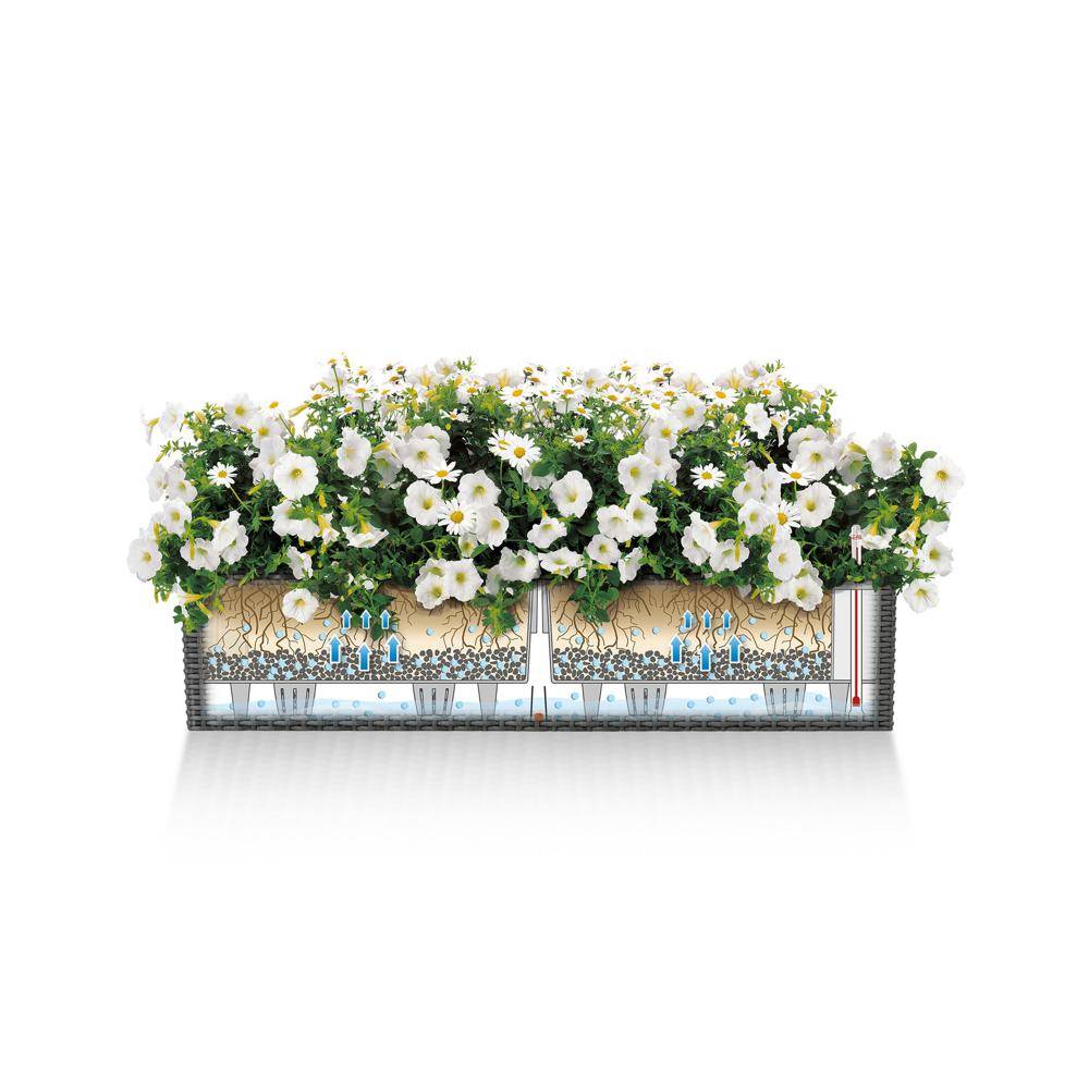Lechuza - Pot Balconera Cottage 80 - kit complet, moka - 80 cm Lechuza - Image 3