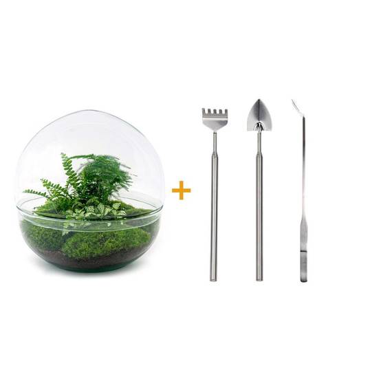 Diy Terrarium - D30 H30cm - Image 1