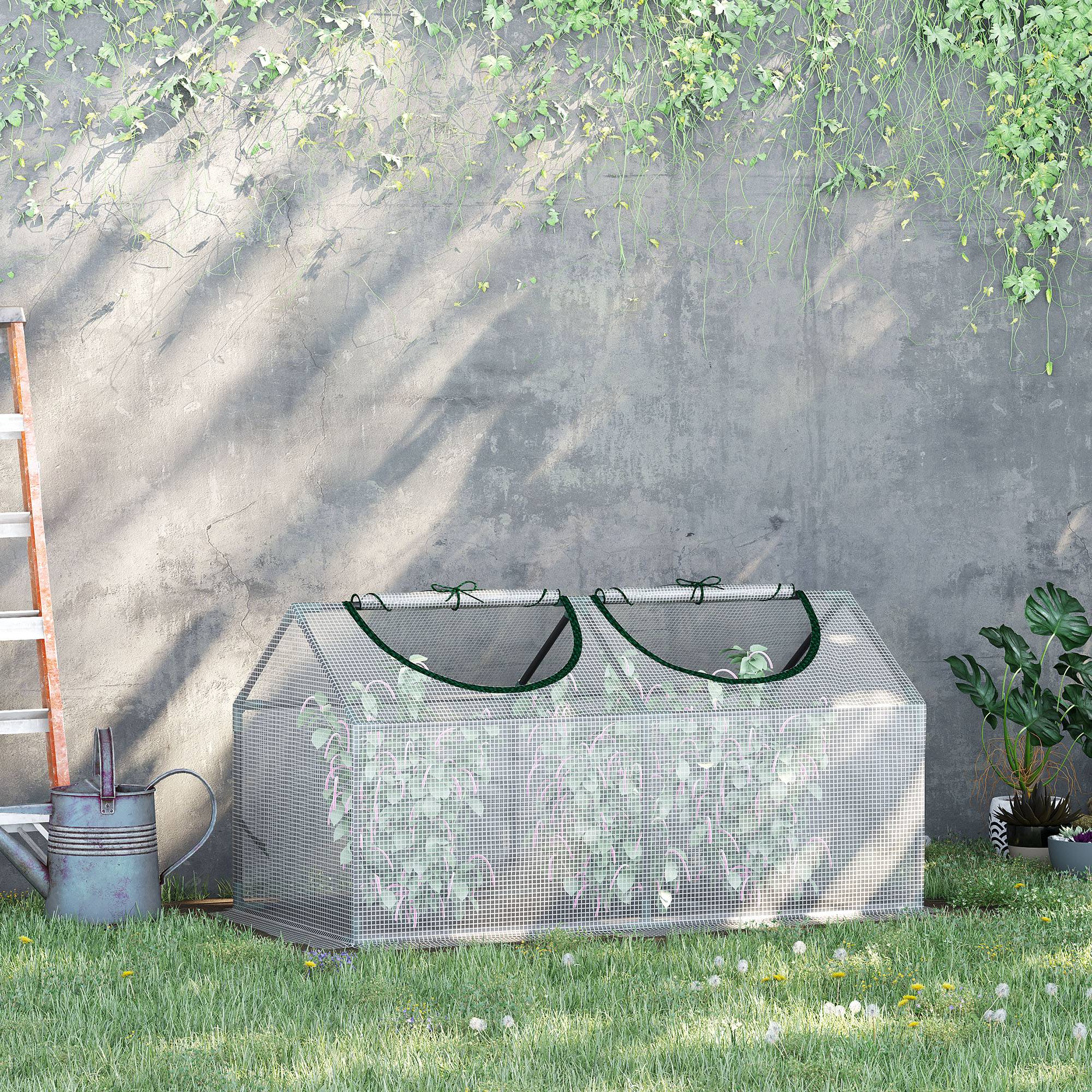 Sans Marque - Serre de jardin 120x60x60 cm bâche polyéthylène tuteurs bords surélevés serre potagère culture légumes fleurs serre compacte blanche jardin - Image 3