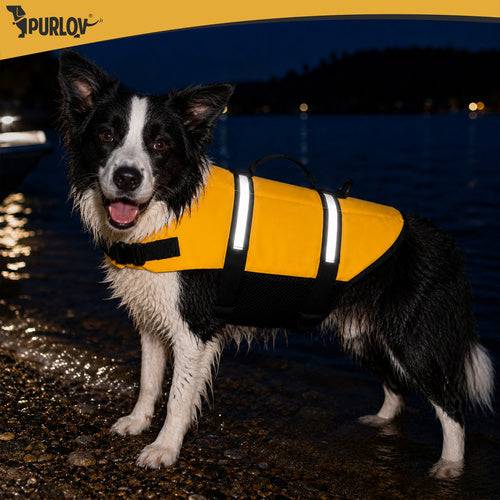 Gilet de sauvetage pour chien - Taille L Purlov - Image 6