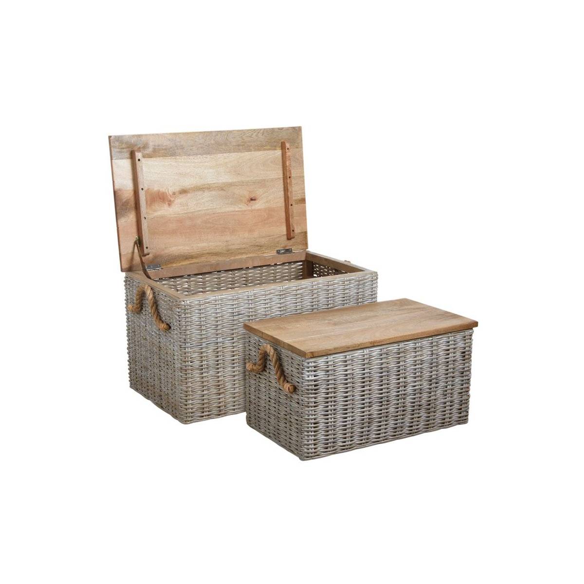 Aubry Gaspard - Coffre en poelet blanchi (Lot de 2) - Image 1
