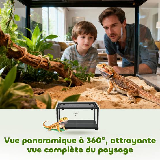 Terrarium verre noir 60 x 45 x 32 cm - PANGIVO - Image 10