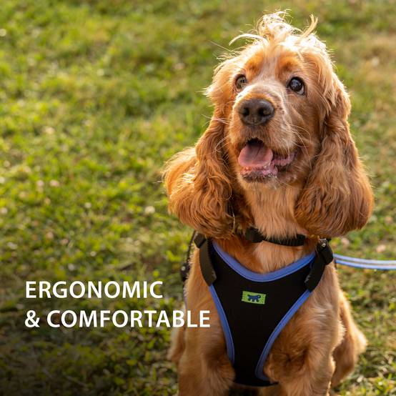 Ferplast - Ferplast Harnais pour chien petite taille ERGOCOMFORT SMALL, Harnais pour chien réglable, Confortable, Rembourré, Fermeture double micro-ajustement, - Image 5