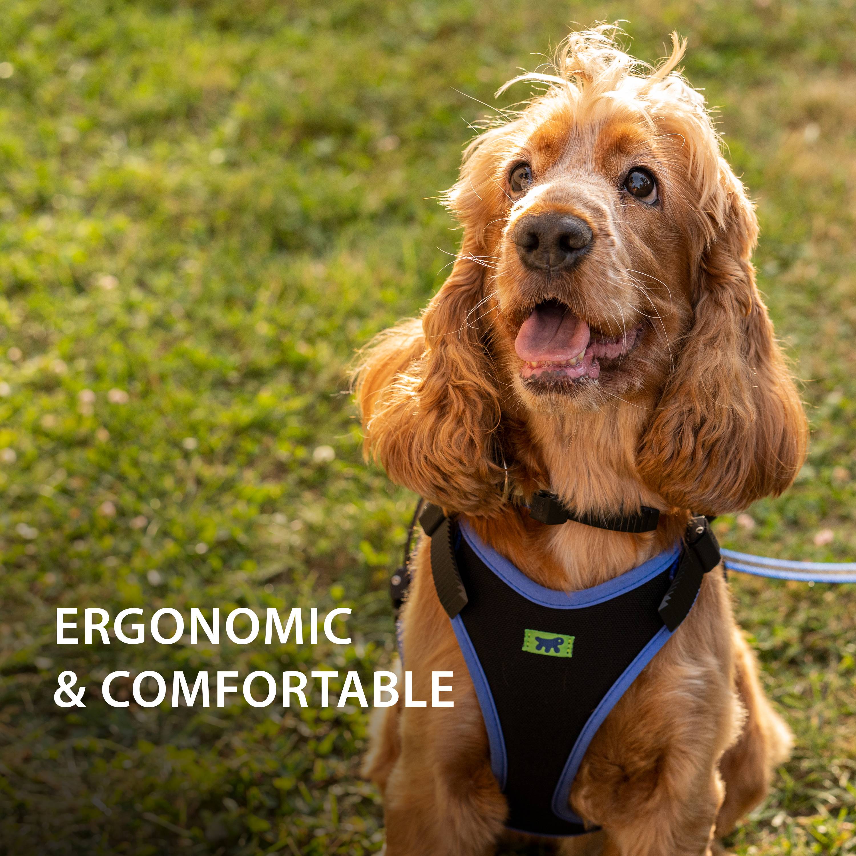 Ferplast - Ferplast Harnais pour chien petite taille ERGOCOMFORT SMALL, Harnais pour chien réglable, Confortable, Rembourré, Fermeture double micro-ajustement, - Image 5