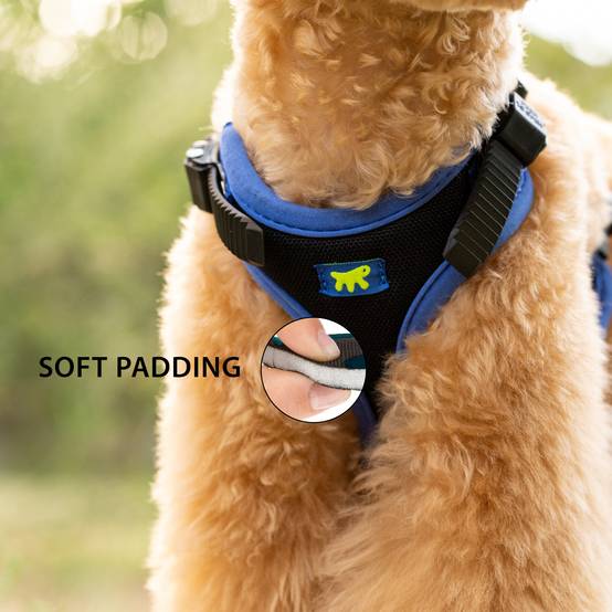 Ferplast - Ferplast Harnais pour chien petite taille ERGOCOMFORT SMALL, Harnais pour chien réglable, Confortable, Rembourré, Fermeture double micro-ajustement, - Image 7
