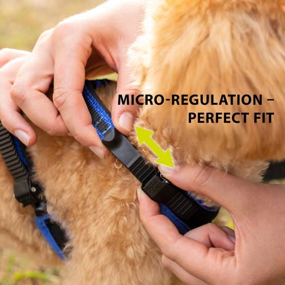 Ferplast - Ferplast Harnais pour chien petite taille ERGOCOMFORT SMALL, Harnais pour chien réglable, Confortable, Rembourré, Fermeture double micro-ajustement, - Image 6