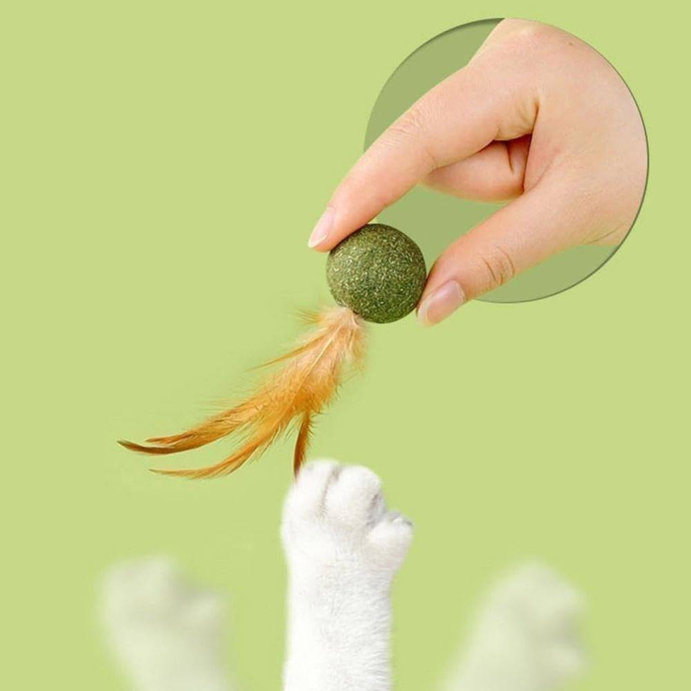 IntiMeg - Boule de menthe et plumes de poulet pour chat - IntiMeg - Image 4