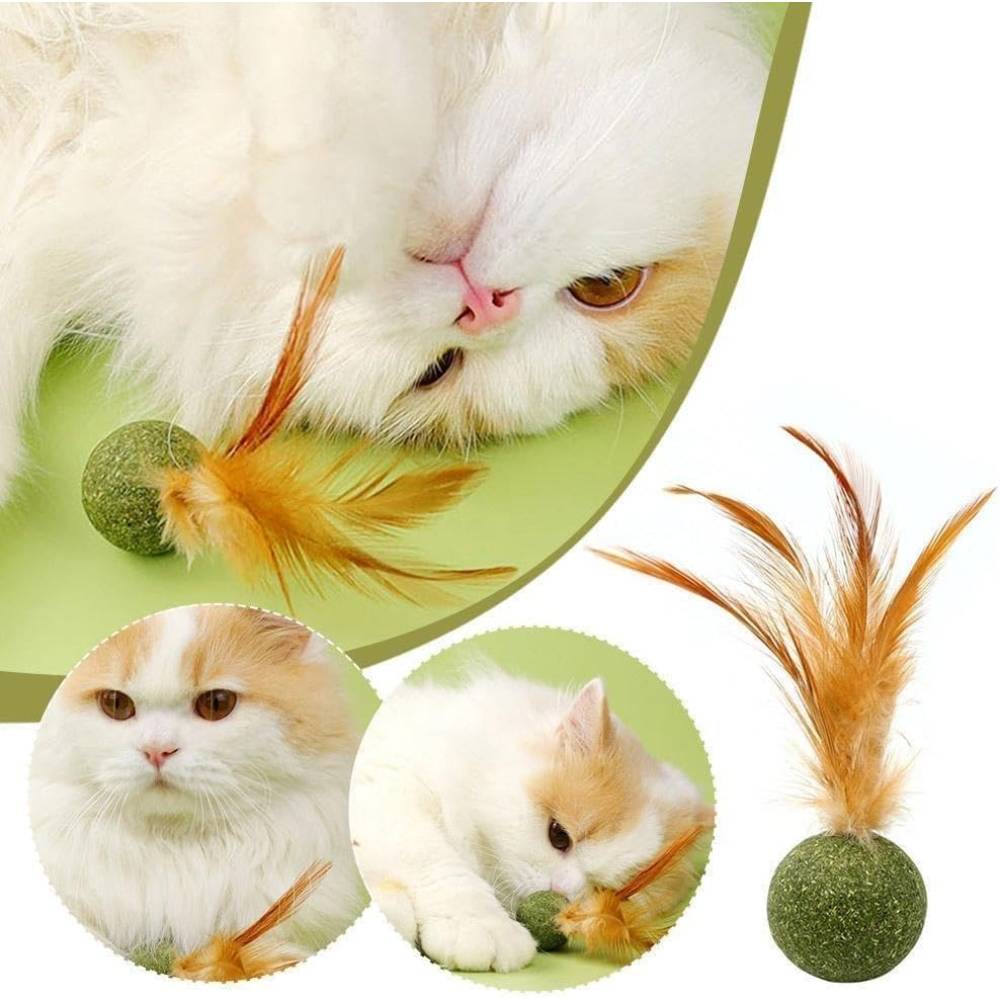 IntiMeg - Boule de menthe et plumes de poulet pour chat - IntiMeg - Image 2