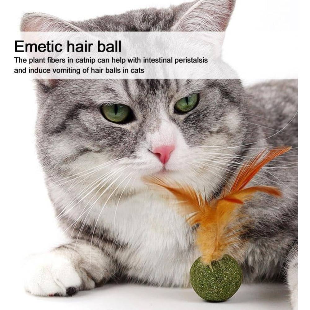 IntiMeg - Boule de menthe et plumes de poulet pour chat - IntiMeg - Image 6