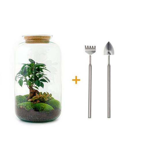 Diy Terrarium - D43 H43cm - Image 1