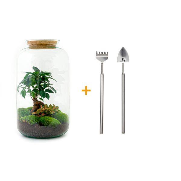 Diy Terrarium - D43 H43cm - Image 1