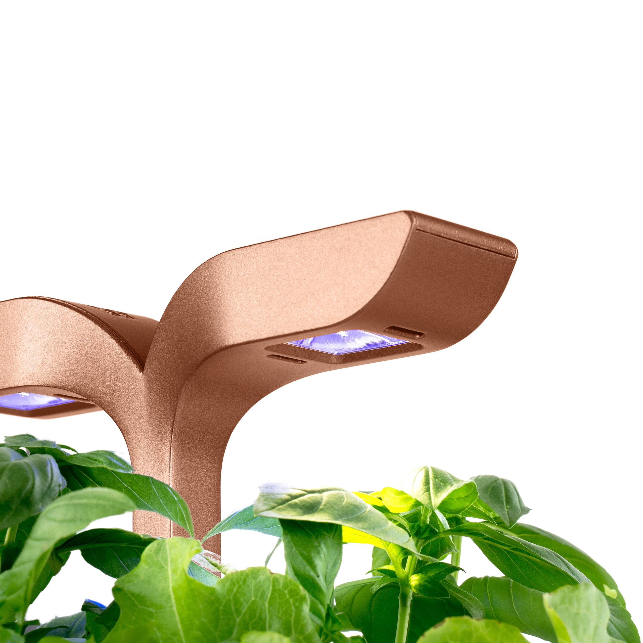Veritable - Potager d'intérieur Autonome Véritable EXKY SMART Copper - Livré avec 2 Lingots - Véritable - Image 3