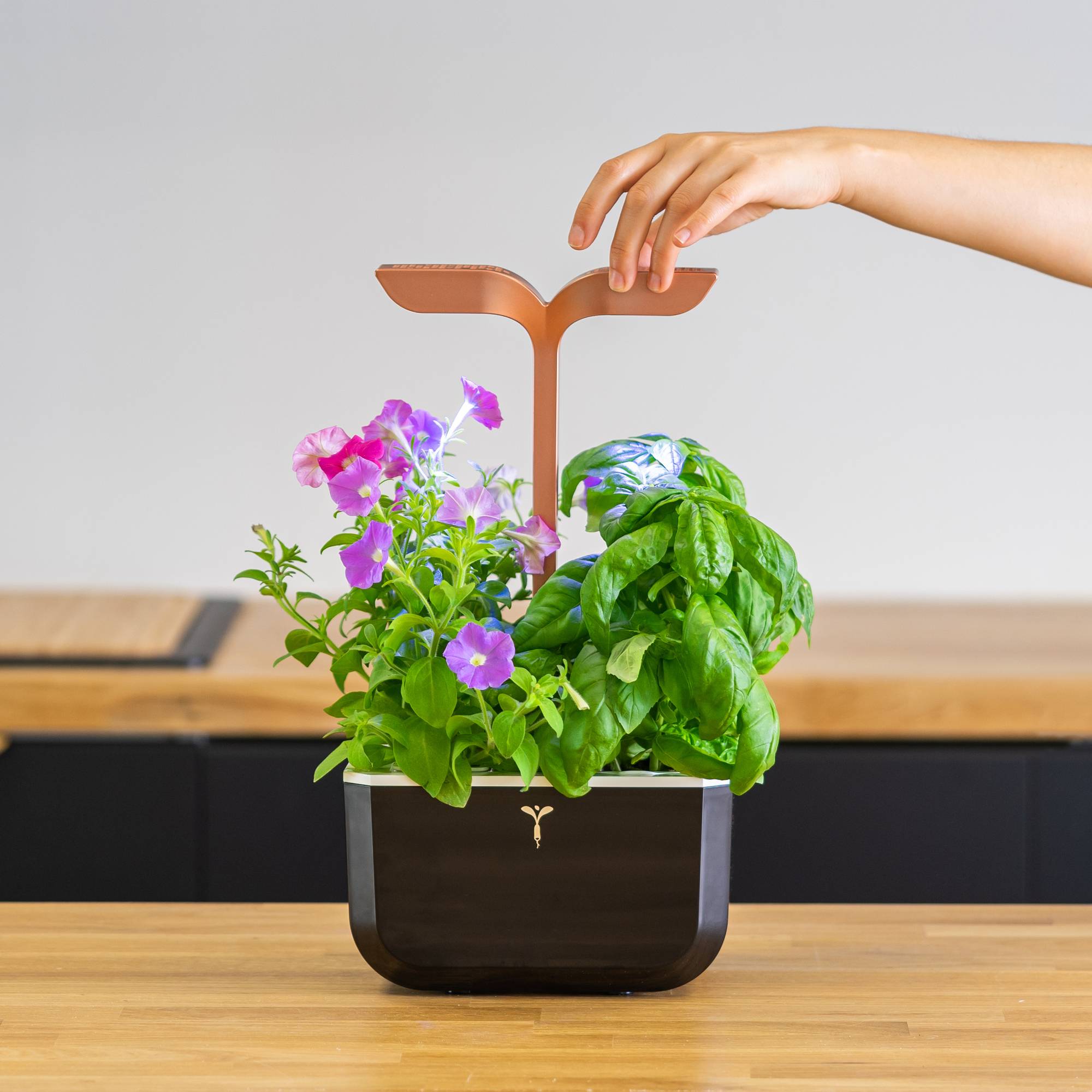 Veritable - Potager d'intérieur Autonome Véritable EXKY SMART Copper - Livré avec 2 Lingots - Véritable - Image 4
