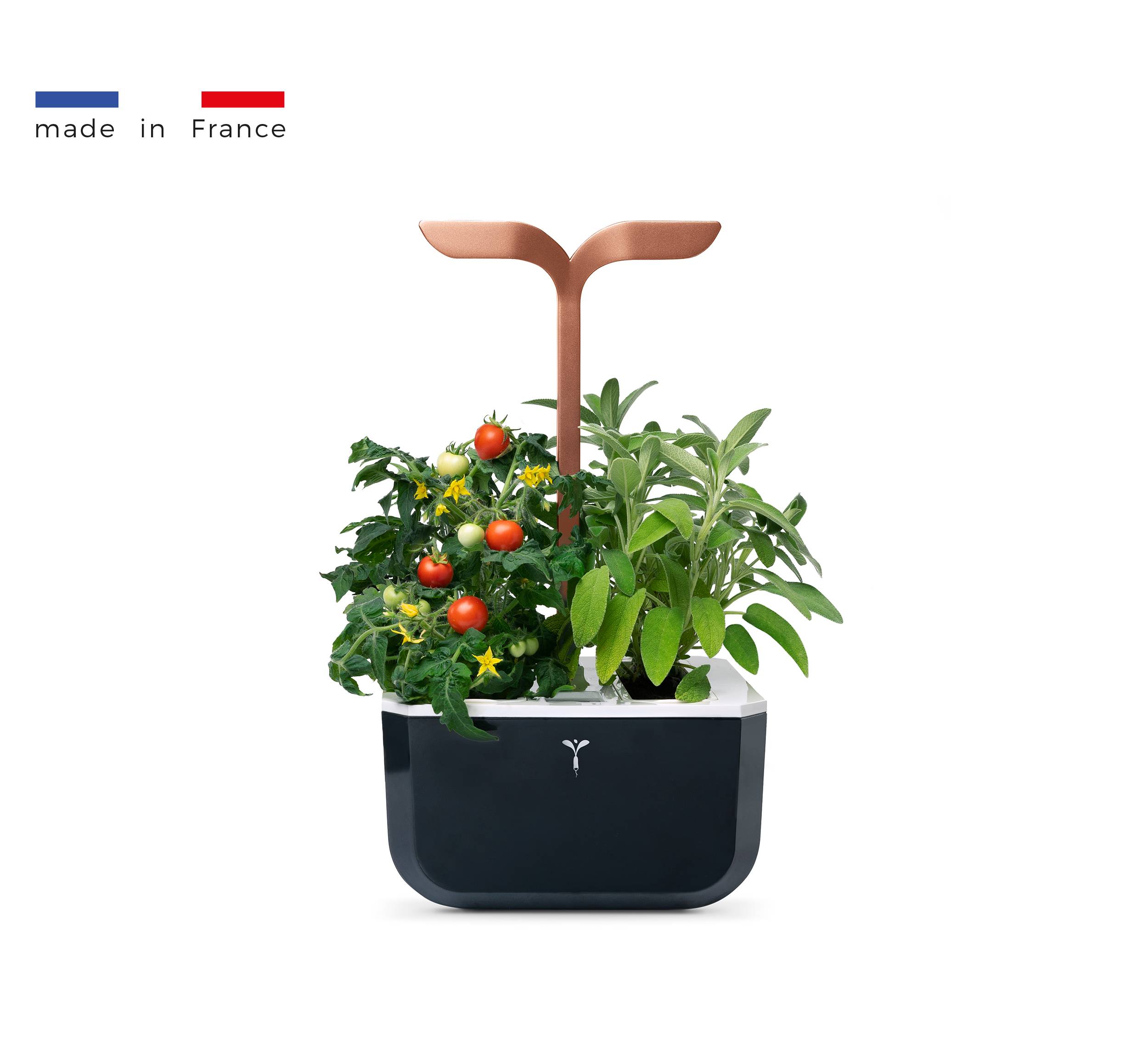 Veritable - Potager d'intérieur Autonome Véritable EXKY SMART Copper - Livré avec 2 Lingots - Véritable - Image 1