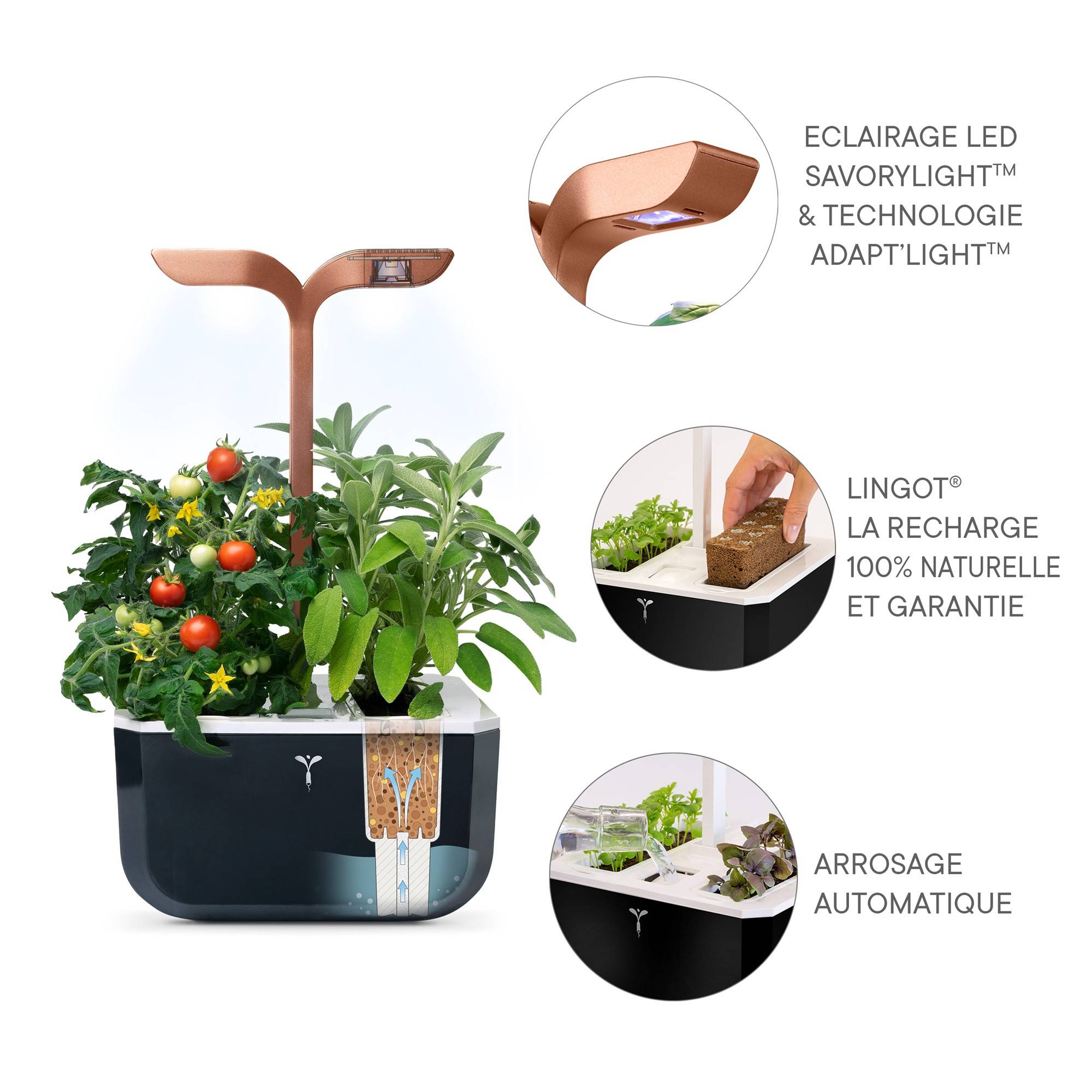 Veritable - Potager d'intérieur Autonome Véritable EXKY SMART Copper - Livré avec 2 Lingots - Véritable - Image 5