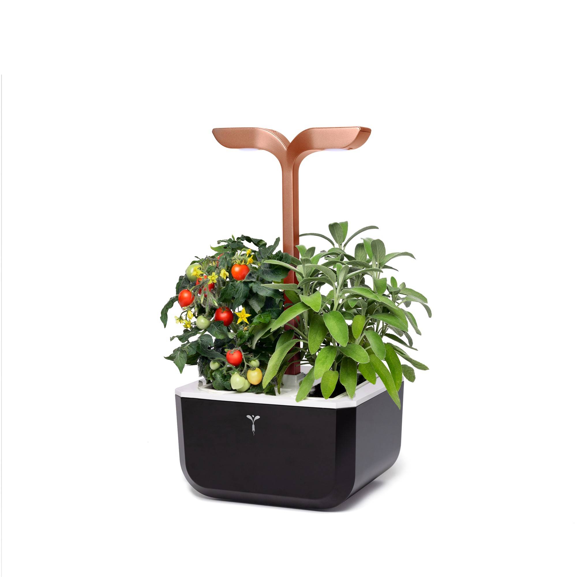 Veritable - Potager d'intérieur Autonome Véritable EXKY SMART Copper - Livré avec 2 Lingots - Véritable - Image 2