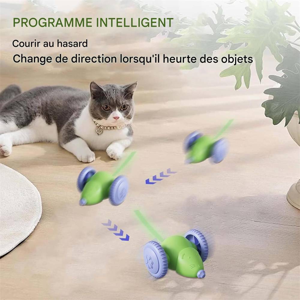Jouet souris pour chat(Blanc) DtopbuyAge - Image 2