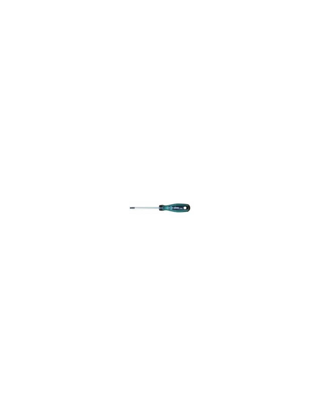 Outifrance - Tournevis Torx Tamper T27 100 Mm - Outifrance