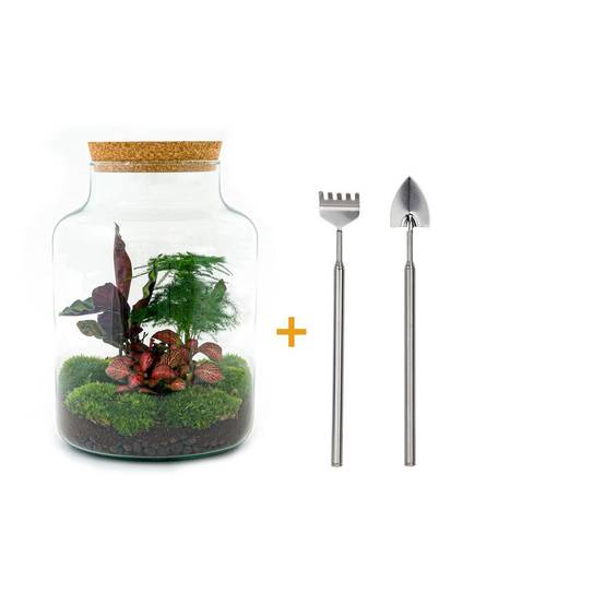 Diy Terrarium - D30 H30cm - Image 1