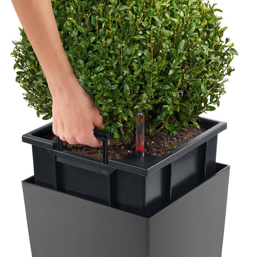Lechuza - Cubico Premium 22 - kit complet, noir brillant 41 cm Lechuza - Image 2