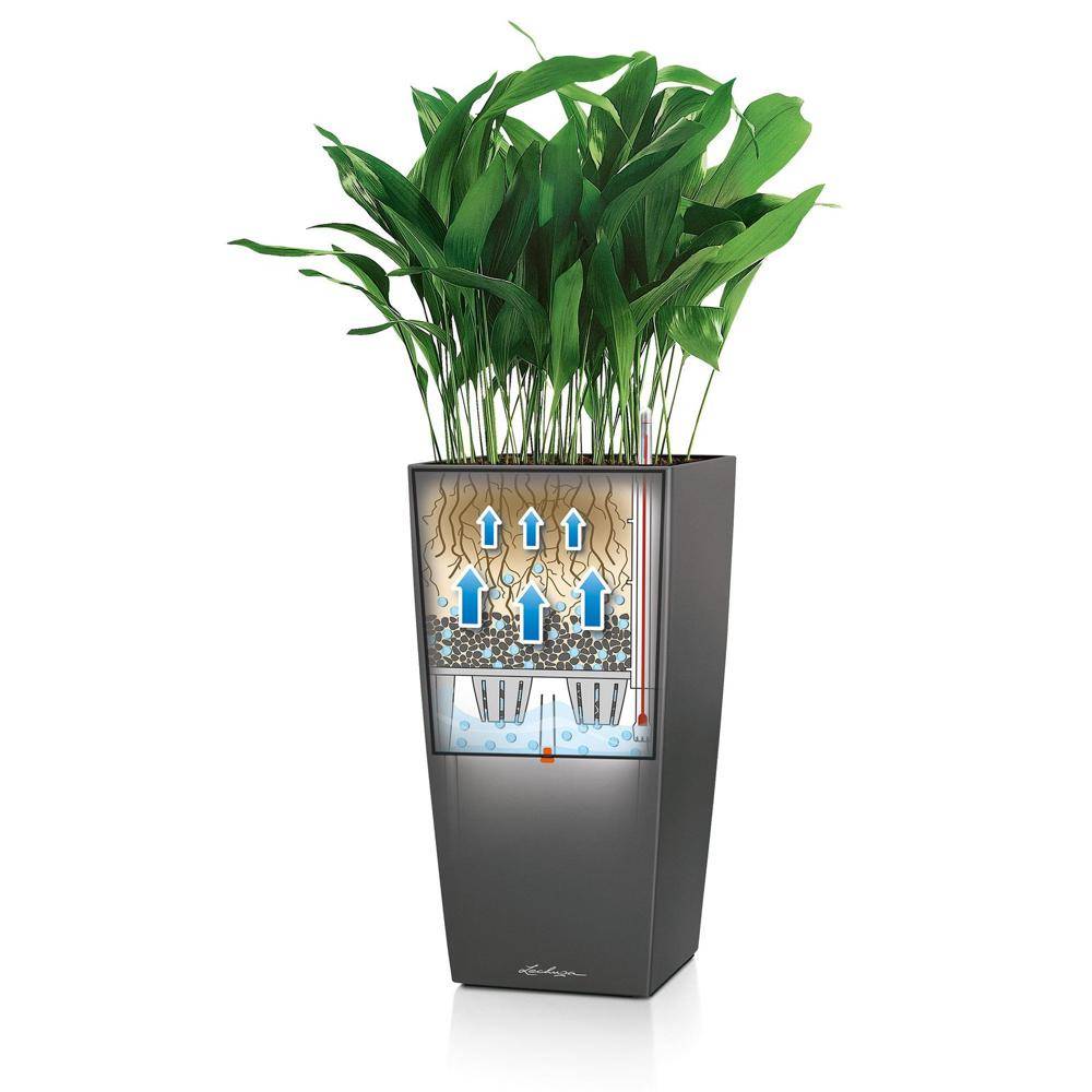 Lechuza - Cubico Premium 22 - kit complet, noir brillant 41 cm Lechuza - Image 4