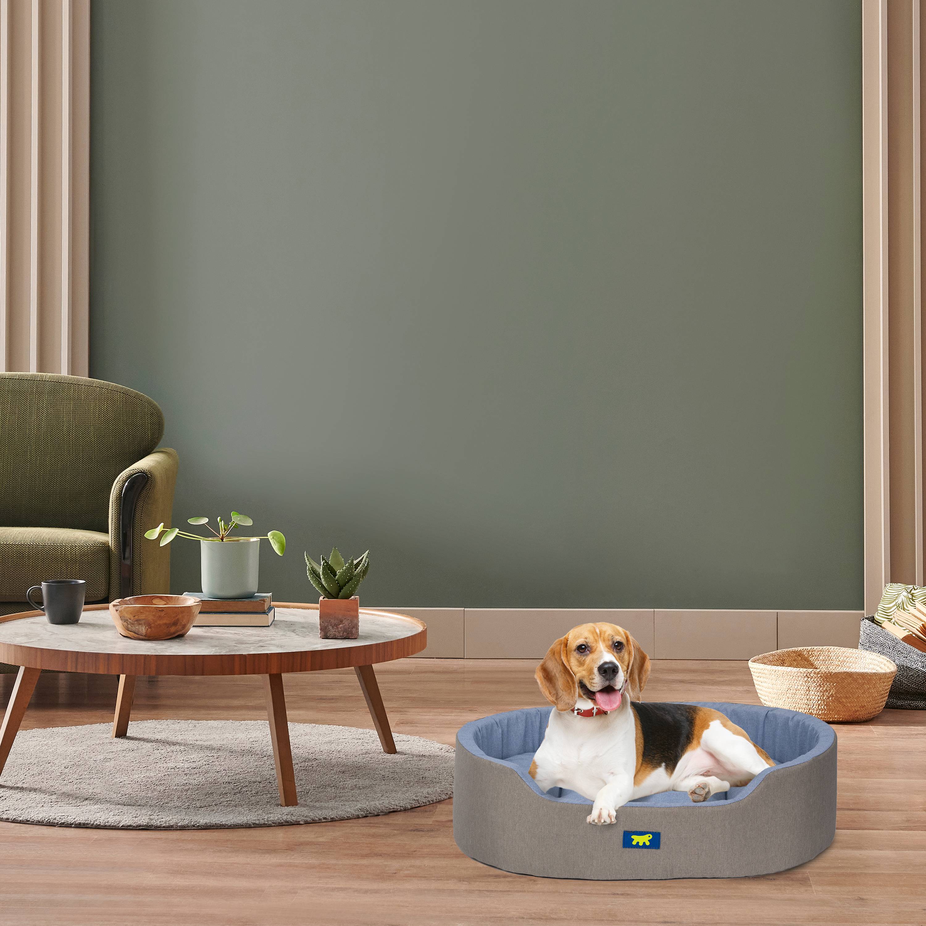 Ferplast - Ferplast Panier Chien Dandy, Coussin Amovible et Lavable, Housse en Coton avec Rembourrage Doux, Idéal également comme Niche pour Chat, 65 x 46 x H 17 - Image 3
