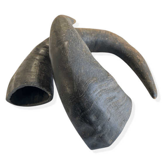 Corne de Buffle pour Chien M 150-190gr - Image 2