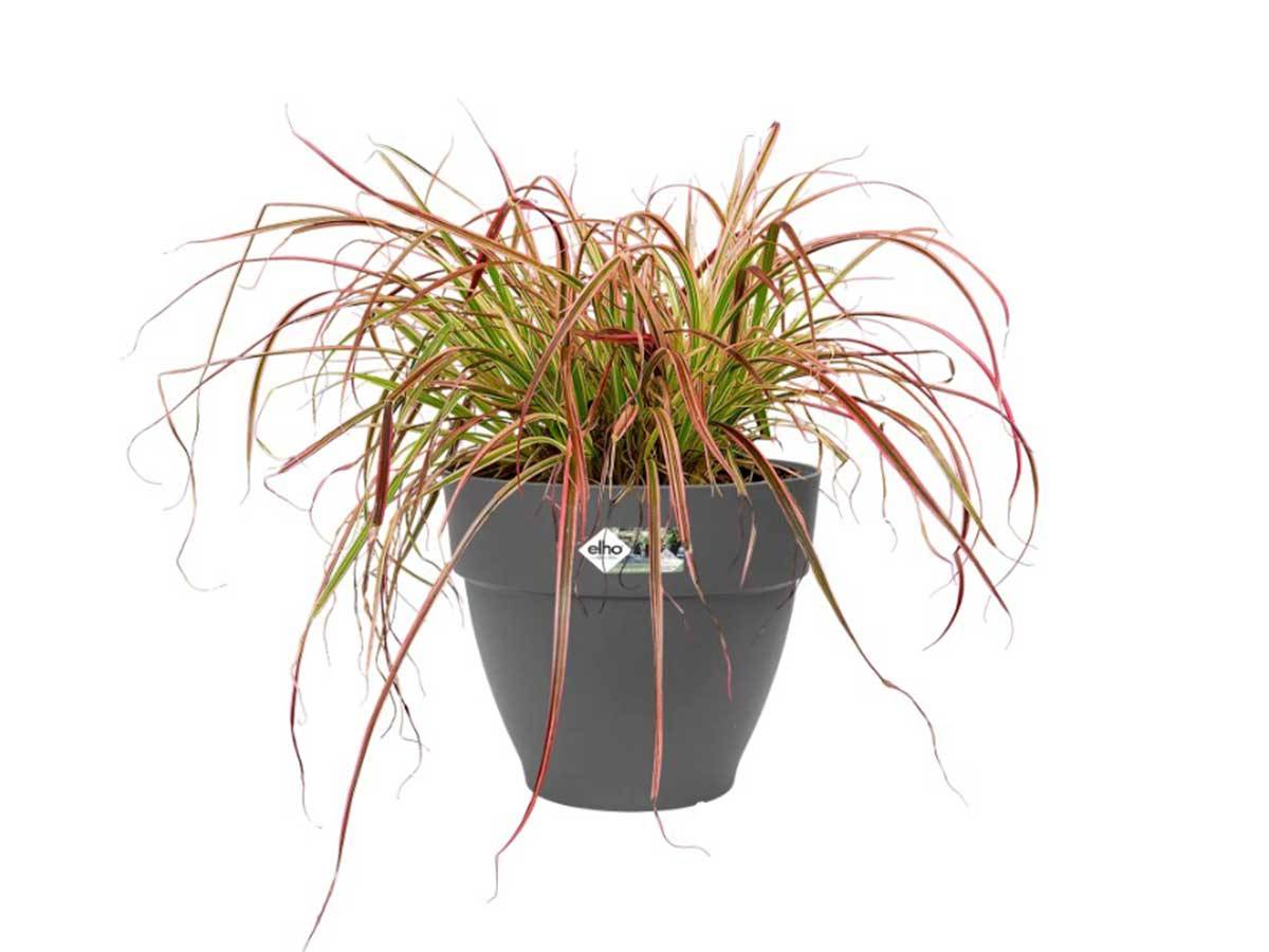 Elho - Pot De Fleurs Rond Vibia - Plastique Réservoir - ø47 - Blanc - Image 6