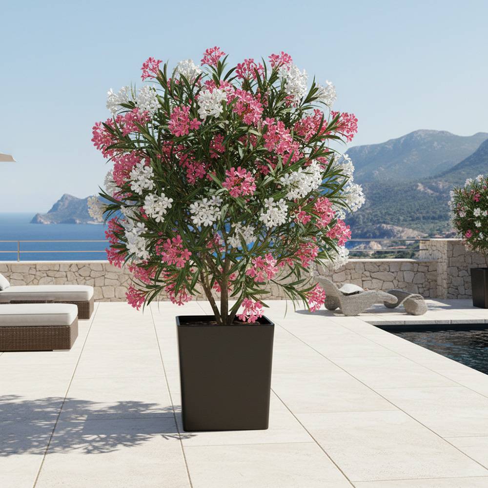 Pot de fleurs carré cubio h 50 cm-plast'up rotomoulage - Image 4