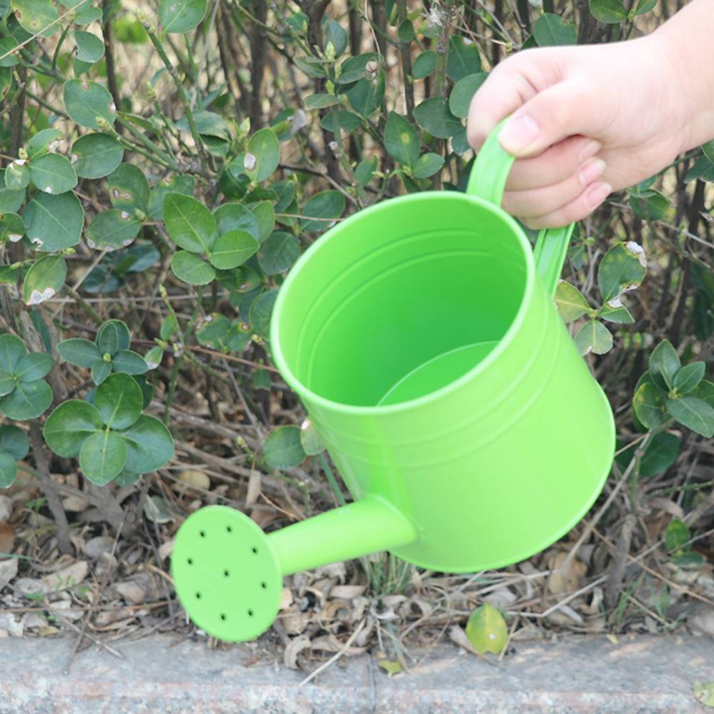 Arrosoir Vert - IntiMeg - Image 2