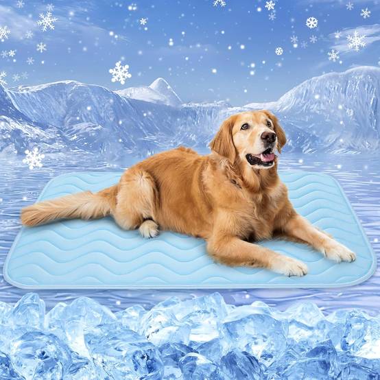 Tapis rafraîchissant pour chien, 100 x 70 cm