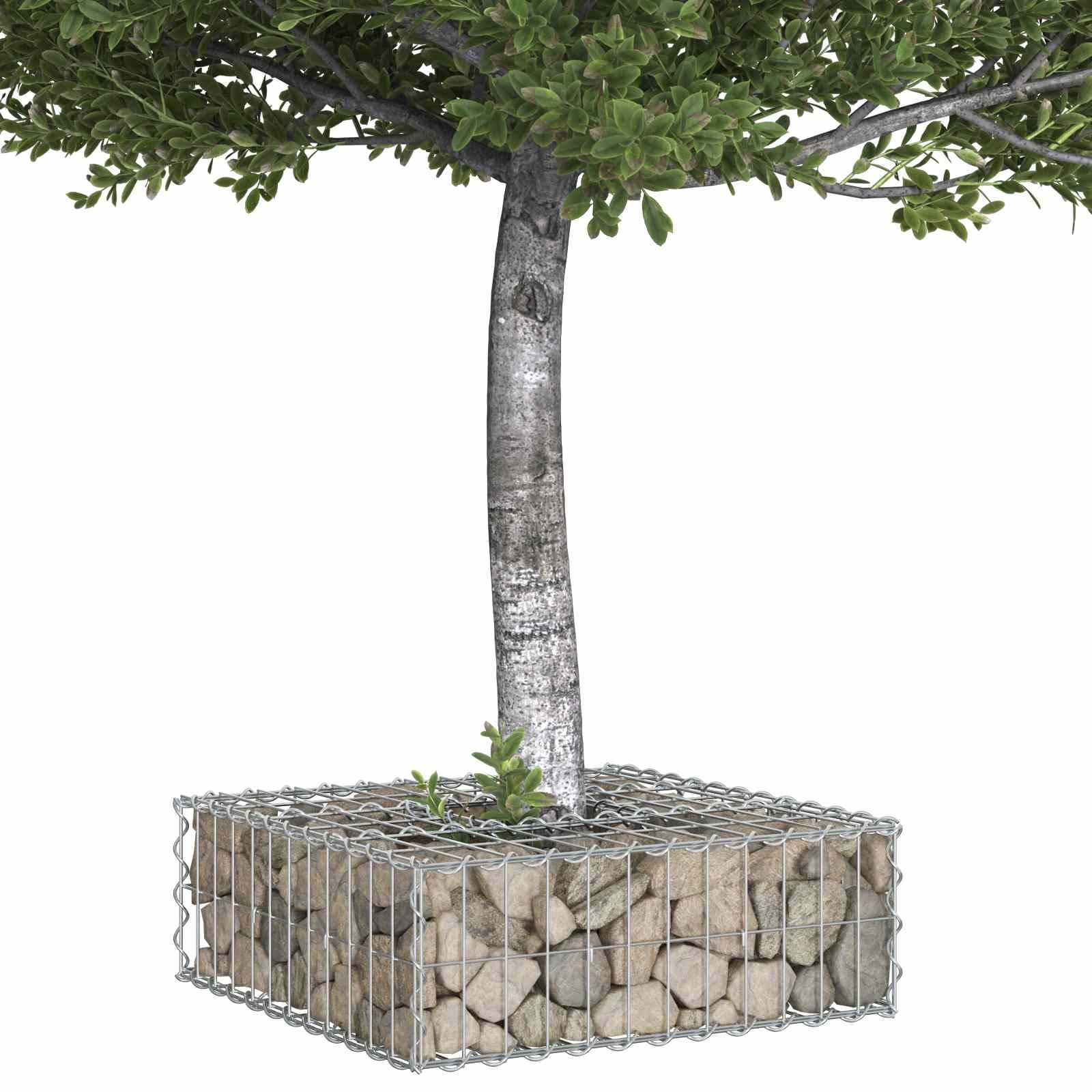 PANGIVO - Lit surélevé gabion Acier galvanisé Argenté 60 x 60 x 20 cm - PANGIVO - Image 3