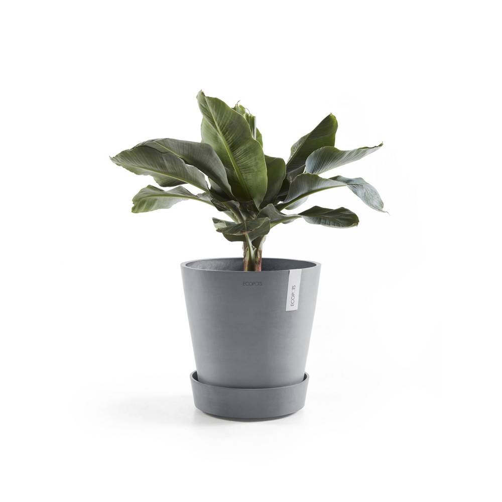 Ecopots - Support à roulettes Wheels 30 Bleu Gris - Ø 28,7 x H. 8,3 cm ECOPOTS - Image 3