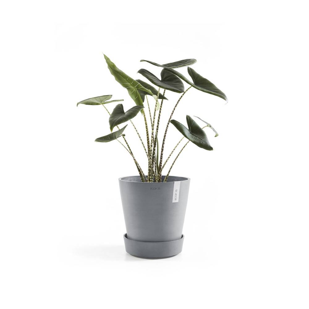 Ecopots - Support à roulettes Wheels 30 Bleu Gris - Ø 28,7 x H. 8,3 cm ECOPOTS - Image 2