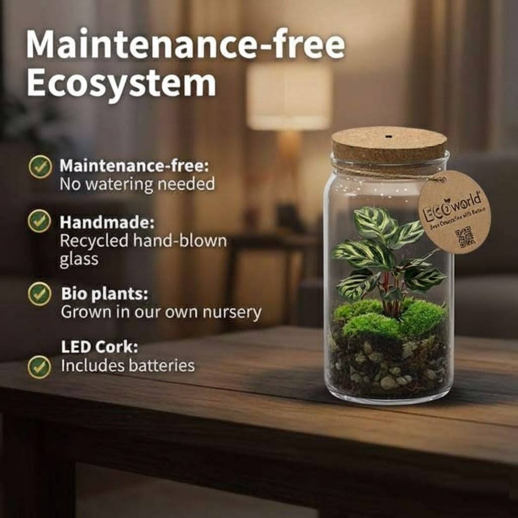 0 - Mini Terrarium de Plantes Ø11 cm - Écosystème Fermé en Verre - Image 3