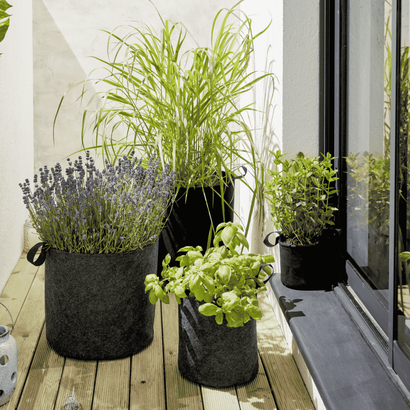 Autre - Lot de 5 Sac plantation feutre géotextile ø 40 cm 50,3 L Noir - Bag 4 Plant - Image 3