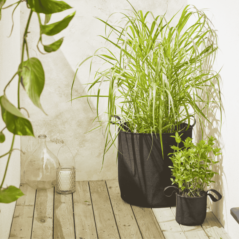Autre - Lot de 5 Sac plantation feutre géotextile ø 40 cm 50,3 L Noir - Bag 4 Plant - Image 2