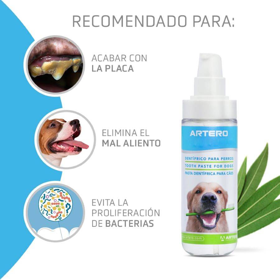 Artero Dentix. Gel dentifrice pour chiens. Maintient à distance le tartre et la mauvaise haleine. - Image 3