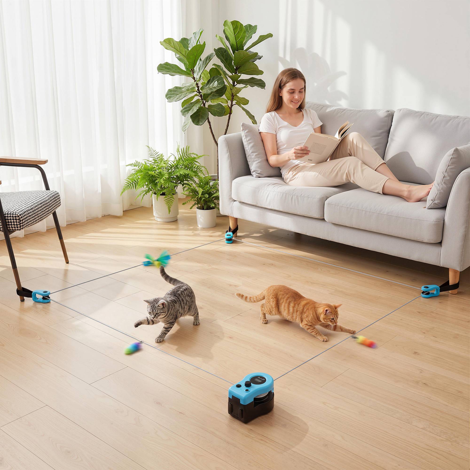 Sans Marque - Jouet pour chat automatique/télécommandé avec vitesse réglable et parcours personnalisables, noir - Image 4