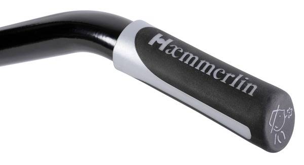Haemmerlin - Brouette Aktiv Excellium 100 L peinte roue gonflée Haemmerlin - Image 2