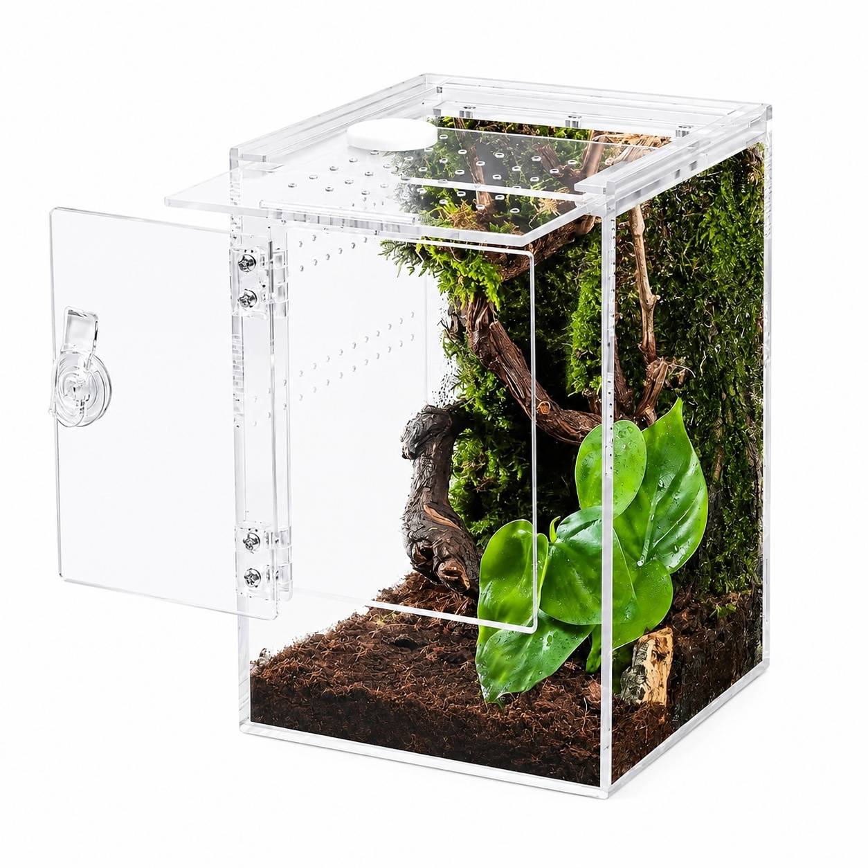 Boîte d'élevage d'insectes terrarium acrylique épais 360° pour reptiles arthropodes - Image 1