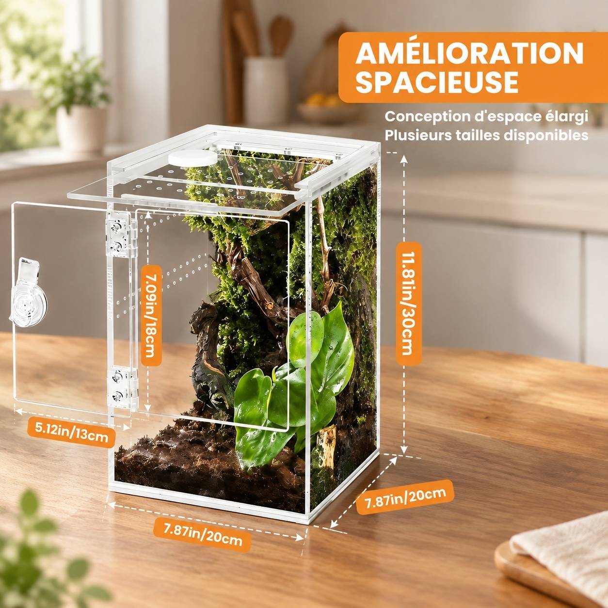 Boîte d'élevage d'insectes terrarium acrylique épais 360° pour reptiles arthropodes - Image 2